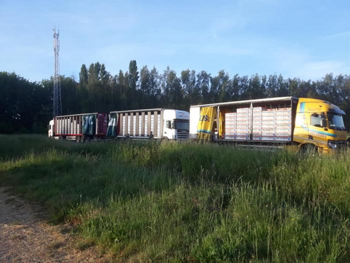 Eerste lossing van het jaar in Quievrain. Eerste lossing van het jaar in Quievrain.
