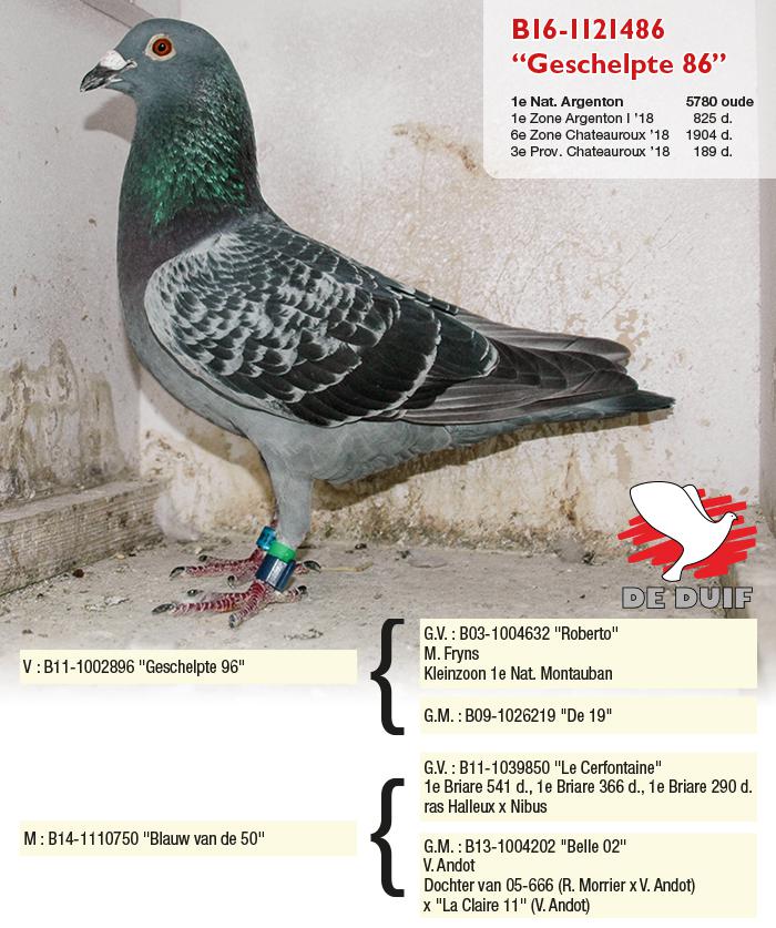 De winnaar B16-1121486 “Geschelpte 86”.