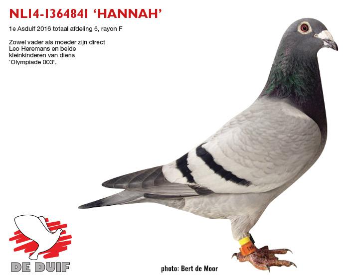 NL14-1364841 "Hannah" NL14-1364841 "Hannah"