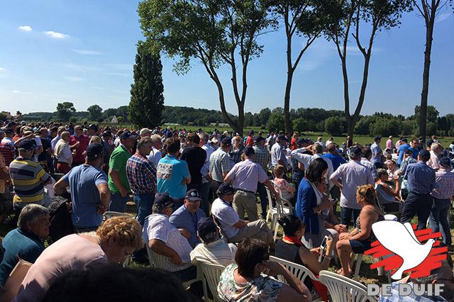 Wachten op de aankomst van de eerste duiven.