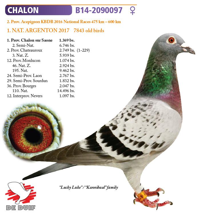 BE14-2090097 "Chalon" BE14-2090097 "Chalon"