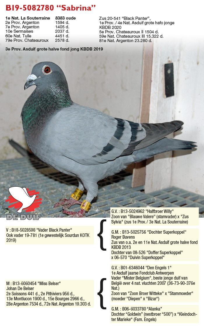 B19-5082780 “Sabrina”