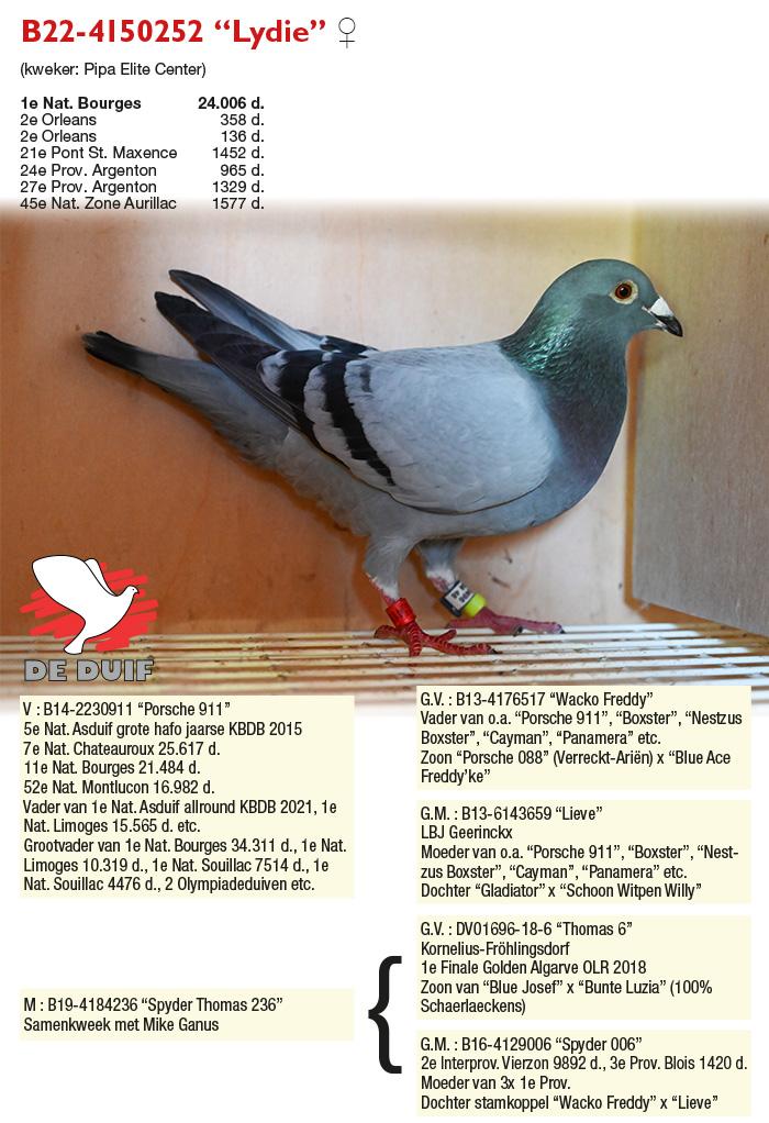 B22-4150252 “Lydie”