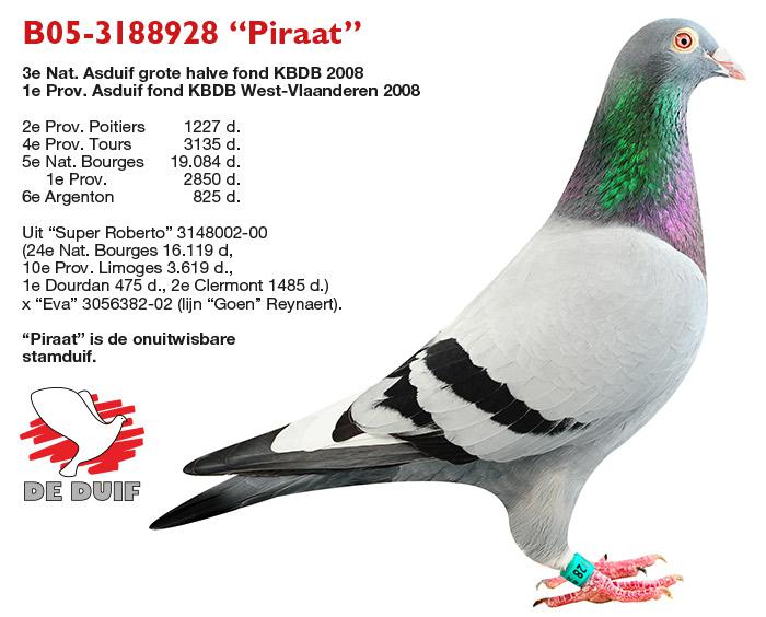B05-3188928 “Piraat”