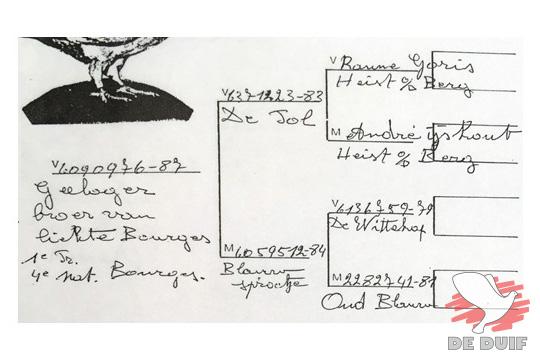 Afstamming van (hier een broer van) de illustere Lichte Bourges van Maurice Voets.