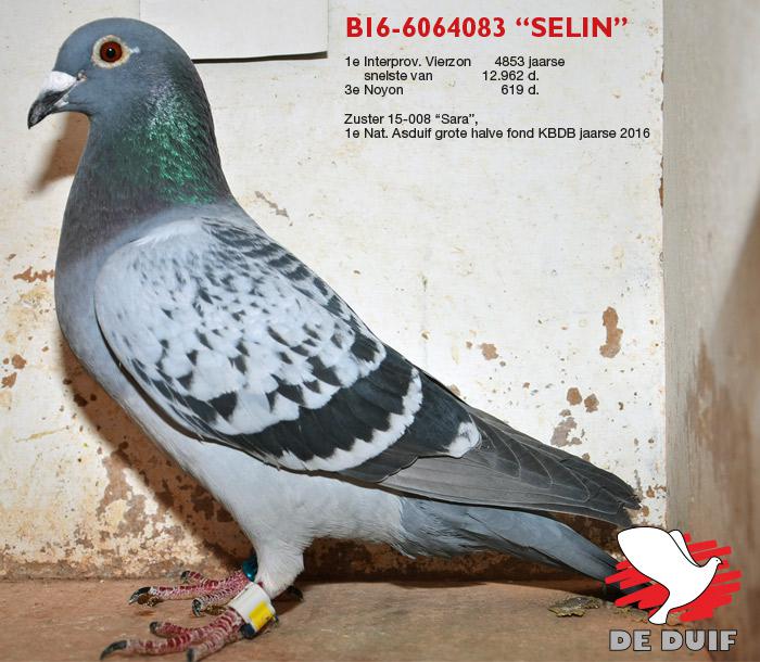 BE16-6064083 "Selin"