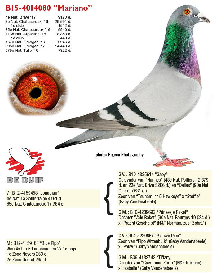 BE15-4014080 “Mariano”