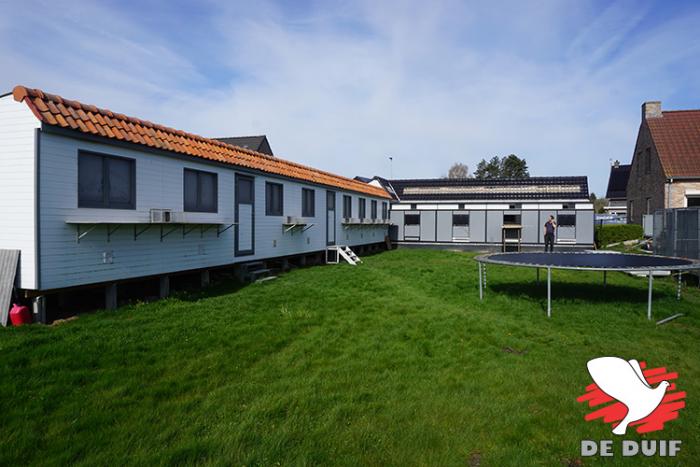 Het hok van de duivinnen, de jaarlingen en de jongen zware fond.