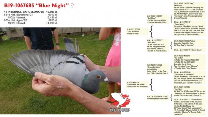 B19-1067685 “Blue Night” B19-1067685 “Blue Night”