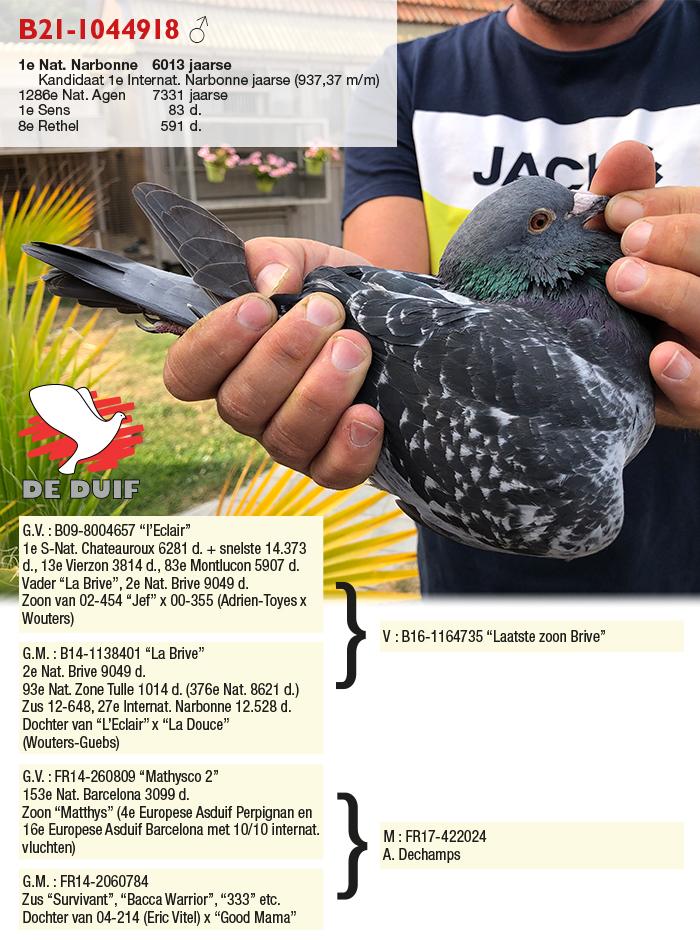 B21-1044918