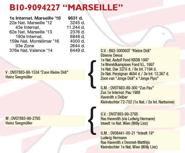 B10-9094227 "Marseille" B10-9094227 "Marseille"
