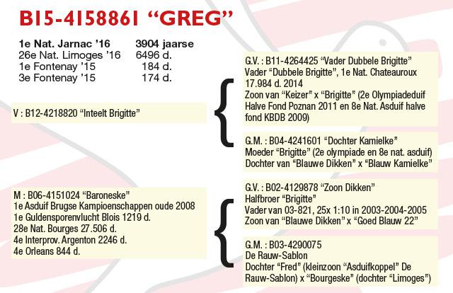 B15-4158861 "Greg"
