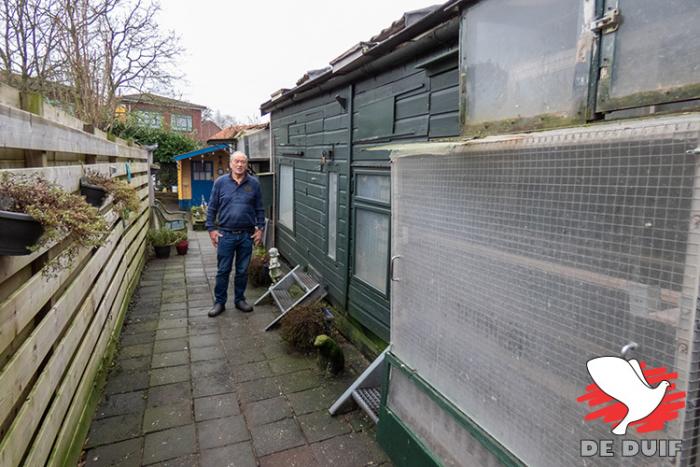 Wederom een bewijs dat je geen grote tuin met grote hokken nodig hebt om succesvol te zijn in de duivensport!