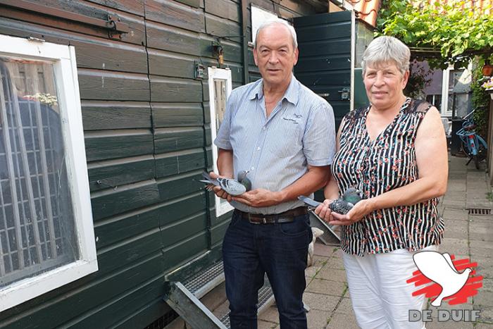 Geurt en Alie komen beide uit een duivennest en delen al heel hun leven dezelfde passie voor duiven.