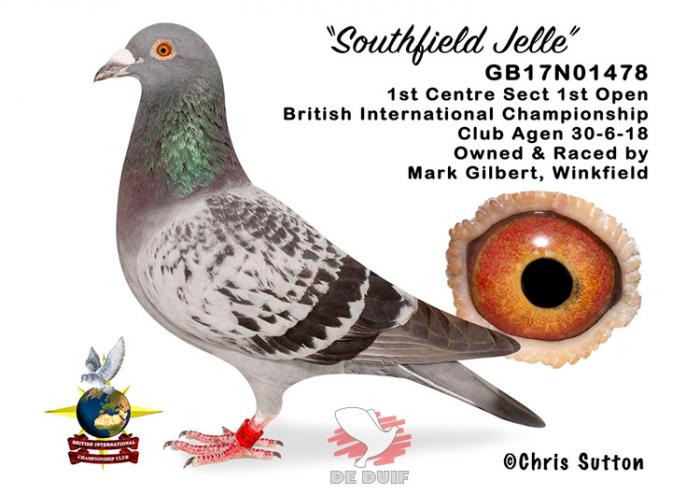 GB17N01478 "Southfield Jelle"