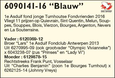 BE16-6090141 “Blauw” BE16-6090141 “Blauw”