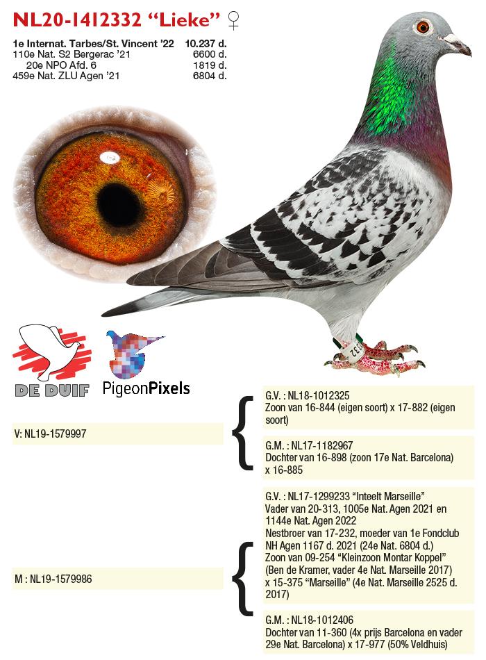 NL20-1412332 “Lieke” NL20-1412332 “Lieke”