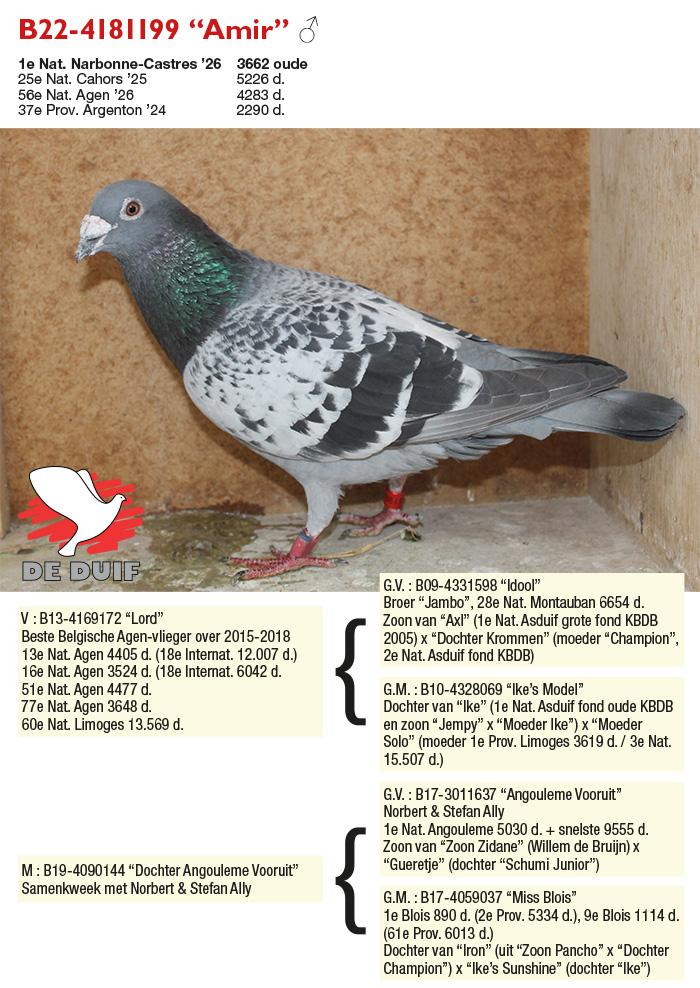 B22-4181199 “Amir”
