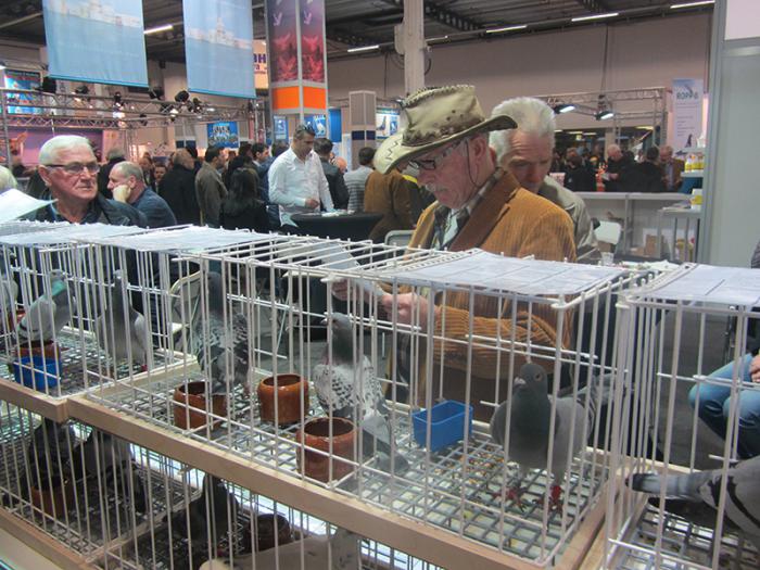 Voorjaarsbeurs Houten