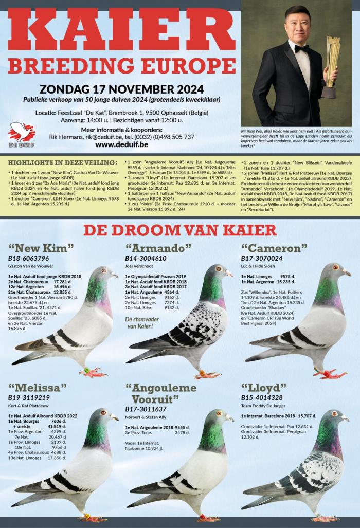 Anouncement auction Kaier