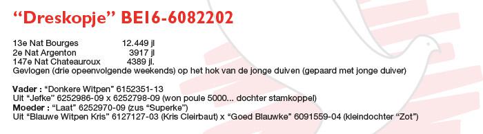 BE16-6082202 BE16-6082202