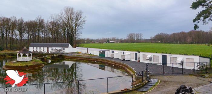 De riante hokken in Nijlen.