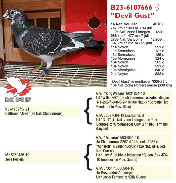 B23-6107666 “Devil Gust”