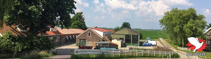 De hokken in Rijnsaterwoude.