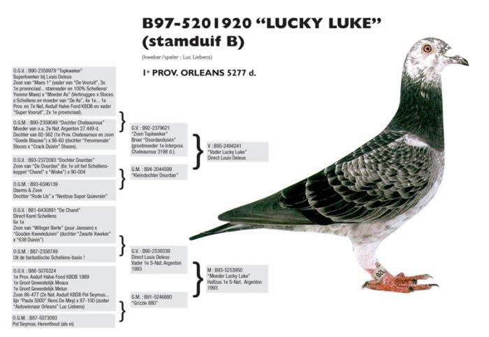 Lucky Luke