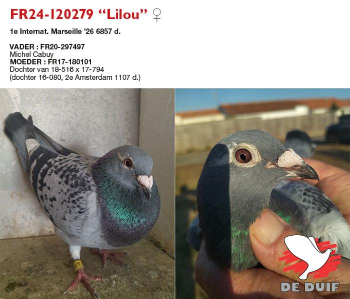 FR24-120279 “Lilou”