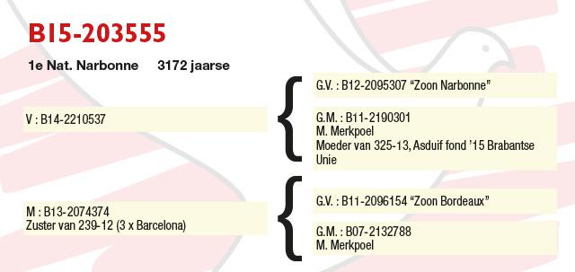 B15-203555