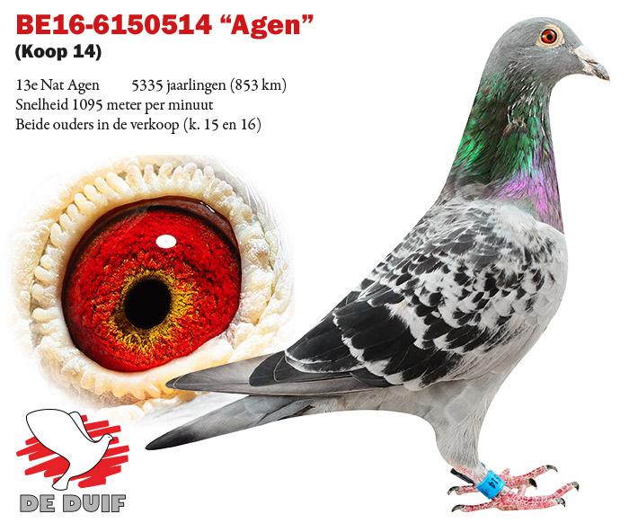 BE16-6150514 "Agen" BE16-6150514 "Agen"