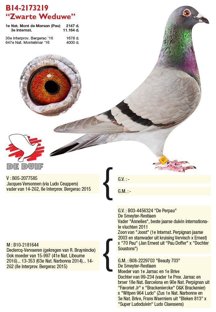 BE14-2173219 "Zwarte Weduwe"
