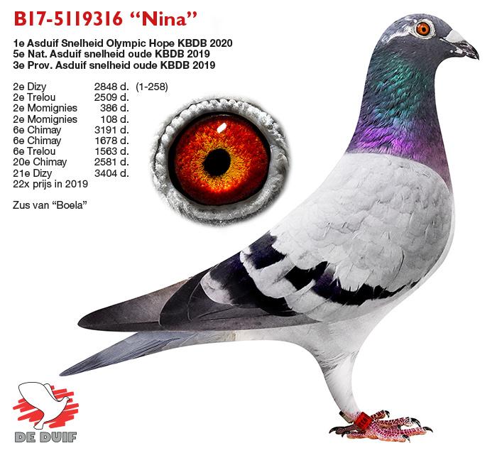 B17-5119316 “Nina”