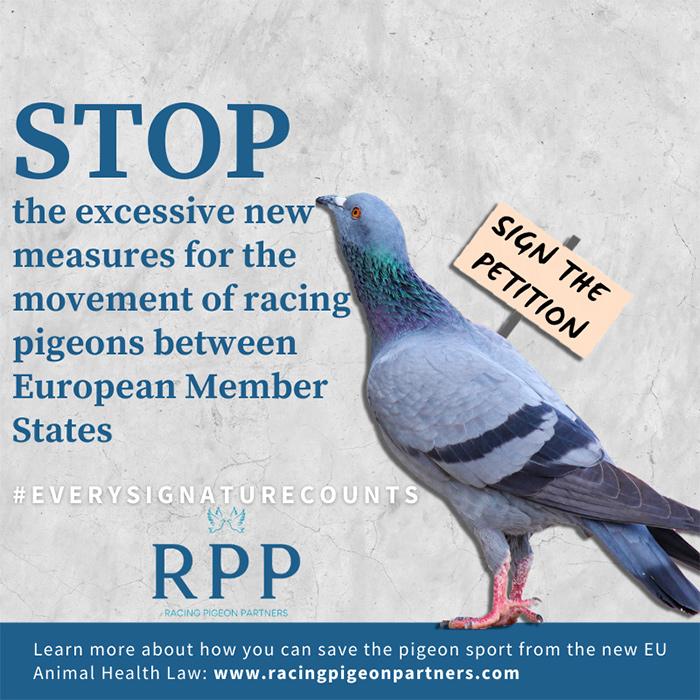 Racing Pigeon Partners