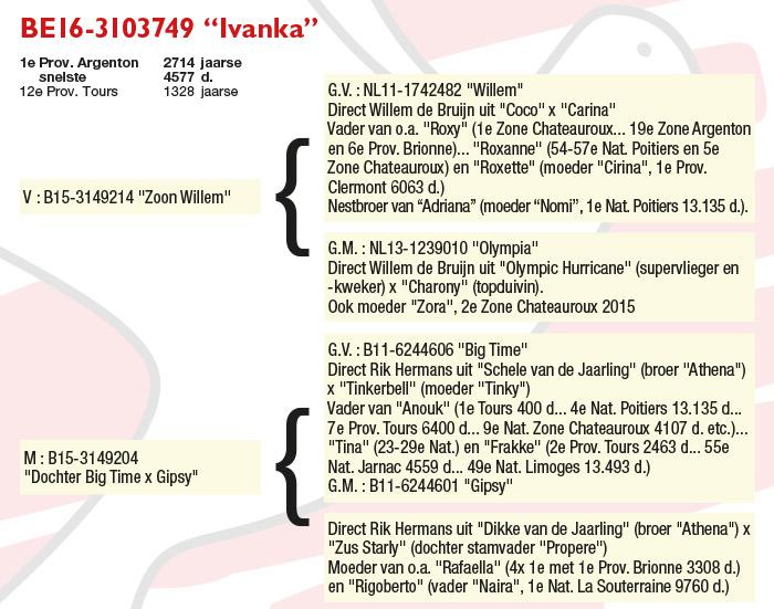 BE16-3103749 "Ivanka"