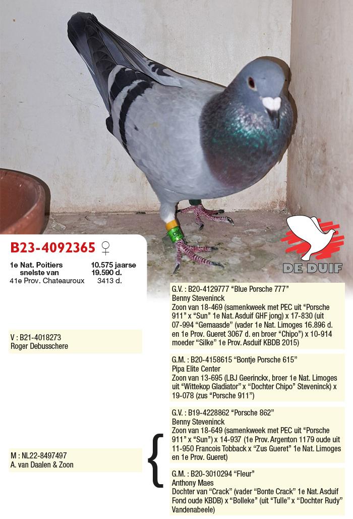 B23-4092365