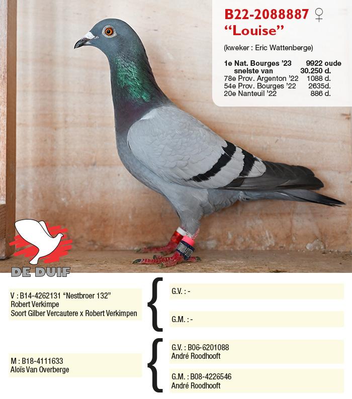 B22-2088887 “Louise”