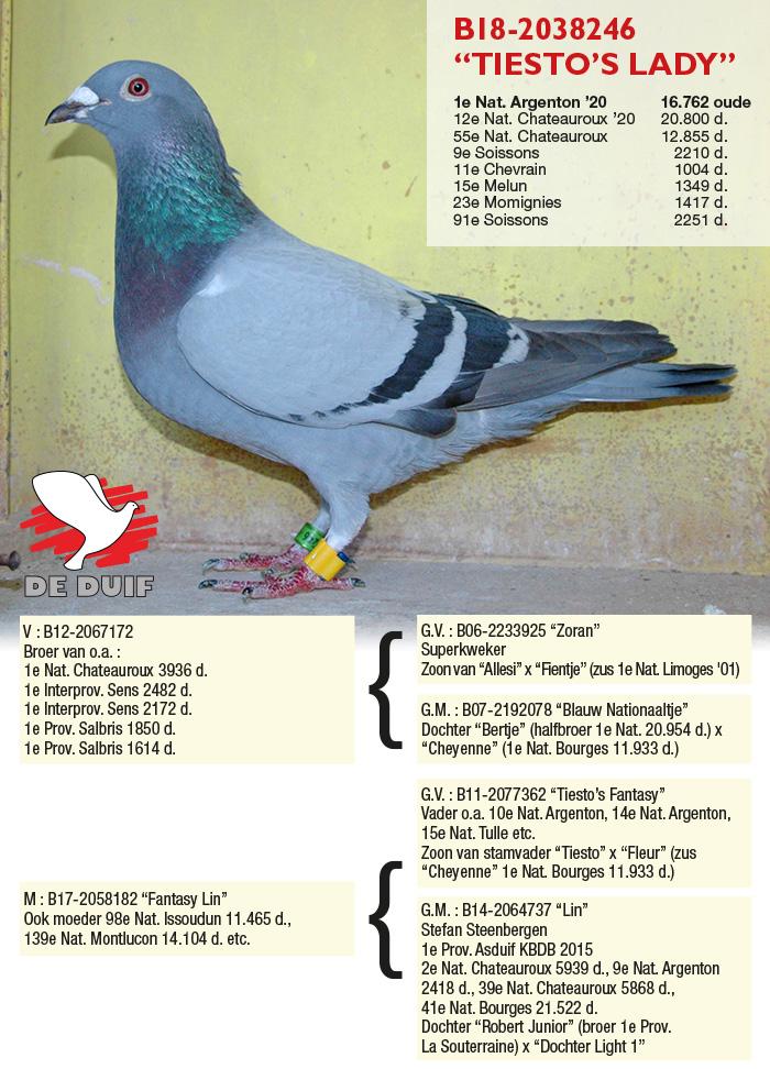 B18-2038246 “Tiesto's Lady”