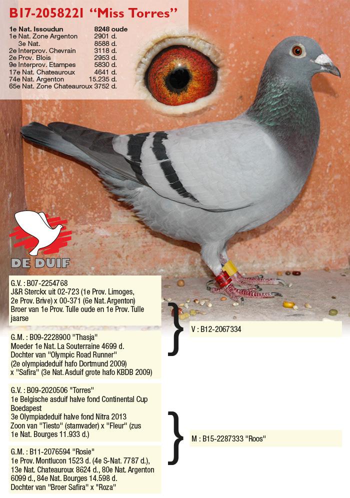 De winnares B17-2058221 “Miss Torres”.