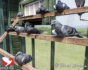 The youngsters relaxing.