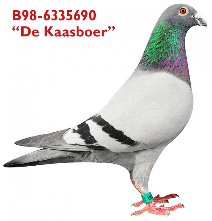 B98-6335690 “De Kaasboer” B98-6335690 “De Kaasboer”