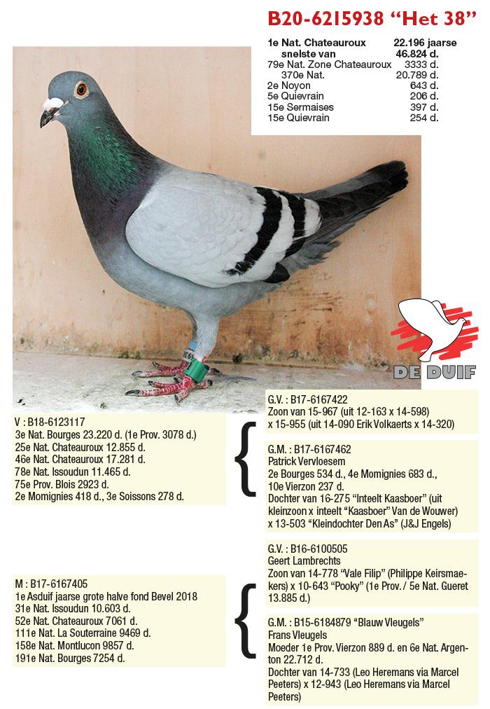 B20-6215938 “Het 38”