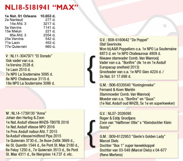 De winnaar NL18-5181941 “Max”