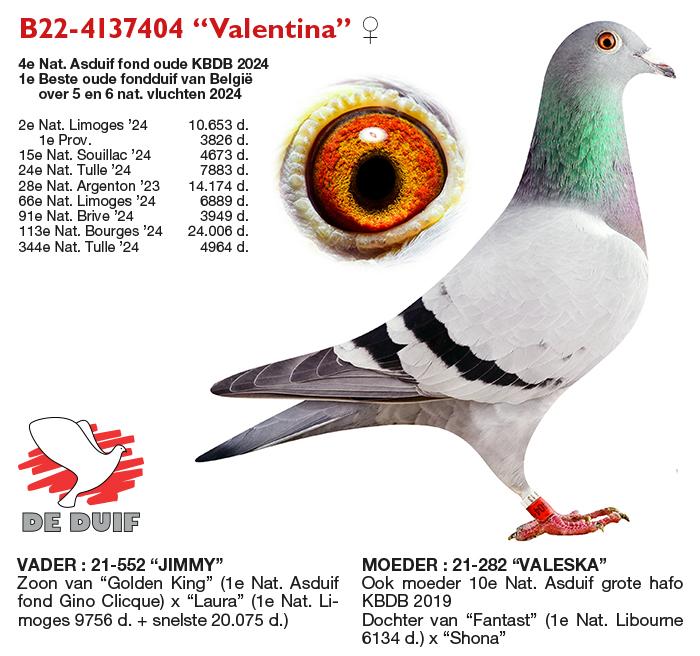 B22-4137404 “Valentina”