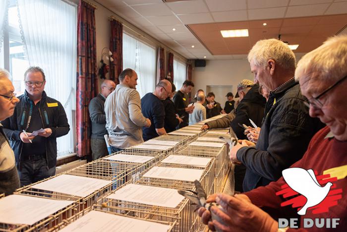 Auction Willem de Bruijn