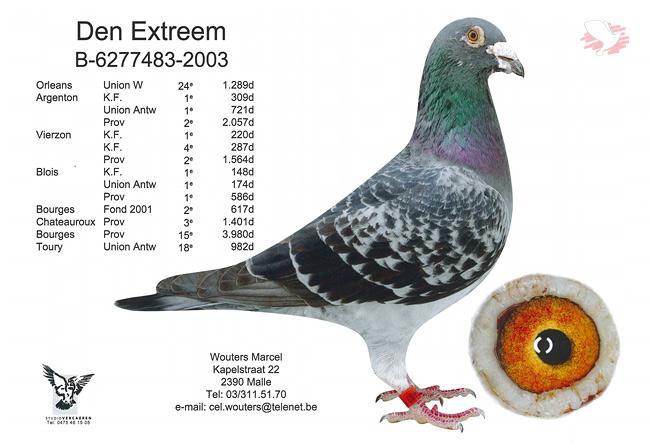 B03-6277483 “De Extreem”