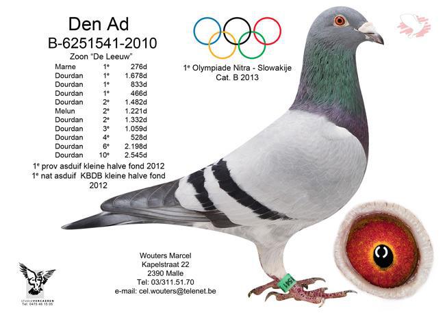B10-6251541 "Den Ad"