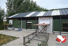 De hokken van Cleirbaut-Goovaerts in Putte.