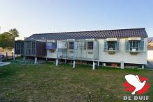 De hokken in Denderwindeke.